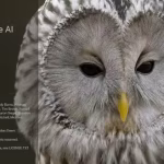 ON1 NoNoise AI