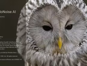 ON1 NoNoise AI