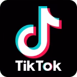 TikTok Downloader