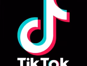 TikTok Downloader