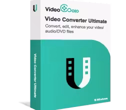 VideoSolo Video Converter