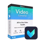 Vidmore Video Converter